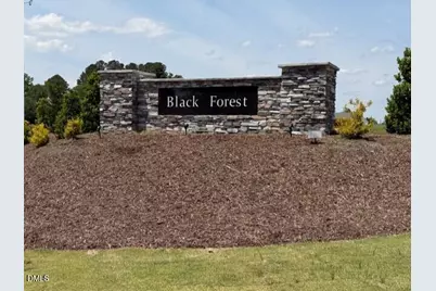 188 Black Forest Pointe Trail #48, Benson, NC 27504 - Photo 27