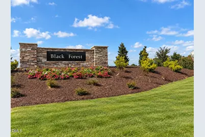 188 Black Forest Pointe Trail #48, Benson, NC 27504 - Photo 27