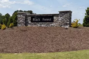 188 Black Forest Pointe Trl, Benson, NC 27504 - Photo 17