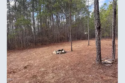 0 Loop Road, Bunnlevel, NC 28323 - Photo 5