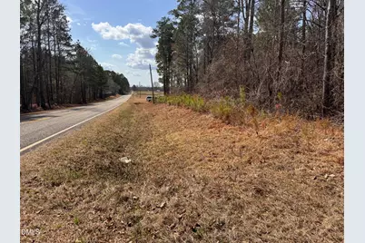 0 Loop Road, Bunnlevel, NC 28323 - Photo 3