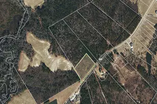 0 Loop Rd, Bunnlevel, NC 28323 - Photo 1