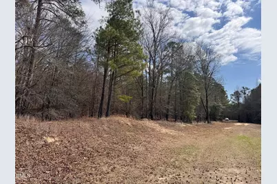 00 Loop Road, Bunnlevel, NC 28323 - Photo 5