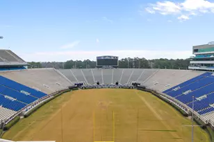 37 Barnes St, Greenville, NC 27858 - Photo 51