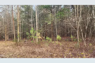 00 Northpointe Farms Trail, Efland, NC 27243 - Photo 11