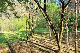 52 Go Cart Rd, Four Oaks, NC 27524 - Photo 43