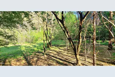 52 Go Cart Road, Four Oaks, NC 27524 - Photo 57