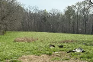 Lot 2 Winfred Brady Rd, Bennett, NC 27208 - Photo 1