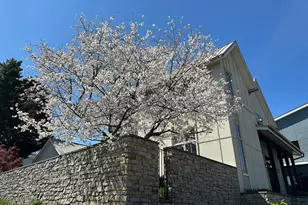 550 E Edenton St, Raleigh, NC 27601 - Photo 91