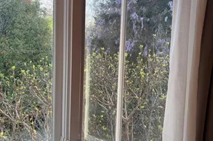 550 E Edenton St, Raleigh, NC 27601 - Photo 67