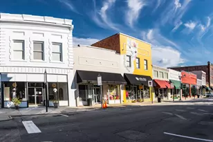 291 New Twin Br Ct, Smithfield, NC 27577 - Photo 49