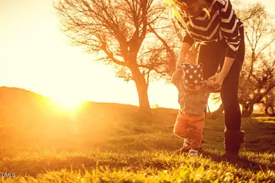 2219 Warbler Drive, Apex, NC 27539 - Photo 17