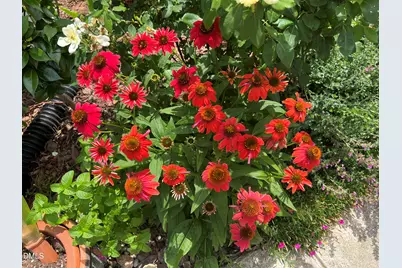 113 Rosedale Creek Drive, Durham, NC 27703 - Photo 55