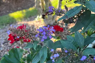 113 Rosedale Creek Dr, Durham, NC 27703 - Photo 57