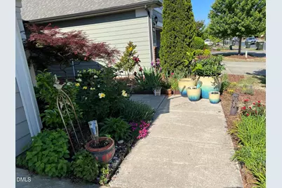 113 Rosedale Creek Drive, Durham, NC 27703 - Photo 59