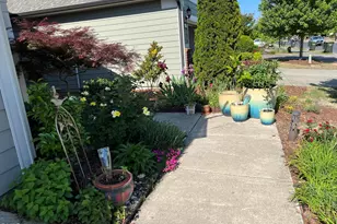 113 Rosedale Creek Dr, Durham, NC 27703 - Photo 59