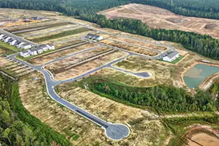 43 Hanging Elm Ln, Fuquay Varina, NC 27526 - Photo 45