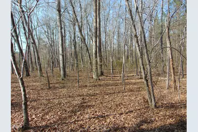 0 Cates Mill Road, Roxboro, NC 27574 - Photo 21