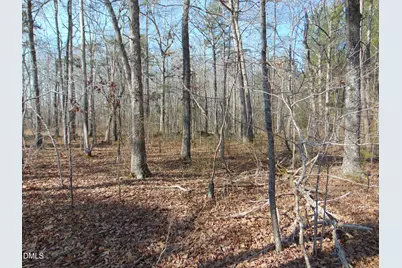 0 Cates Mill Road, Roxboro, NC 27574 - Photo 19