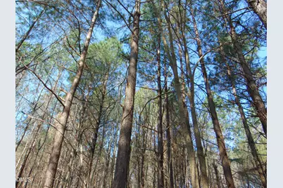 0 Cates Mill Road, Roxboro, NC 27574 - Photo 23