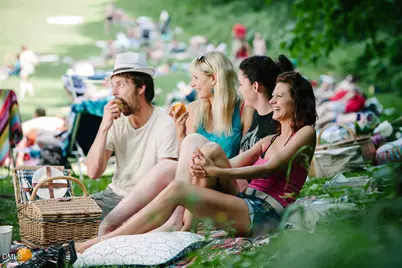 2208 Warbler Drive, Apex, NC 27539 - Photo 21