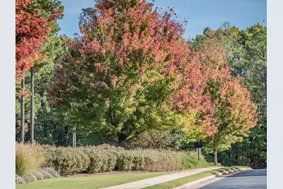 490 Chapel Ridge Drive, Pittsboro, NC 27312 - Photo 9