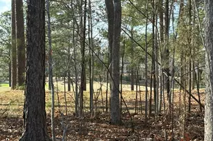 490 Chapel Ridge Dr, Pittsboro, NC 27312 - Photo 3