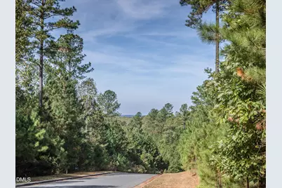 490 Chapel Ridge Drive, Pittsboro, NC 27312 - Photo 17