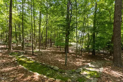 215 Collinson Drive, Chapel Hill, NC 27514 - Photo 39