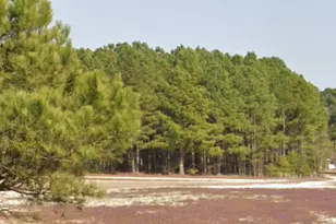 Parcel #3 Bob Lee Ln, Dunn, NC 28334 - Photo 1