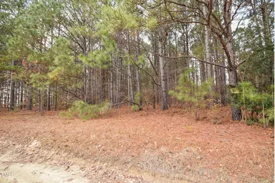 Parcel #3 Bob Lee Lane, Dunn, NC 28334 - Photo 21