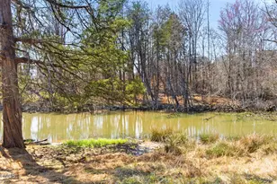 1603 Sykes Rd, Mebane, NC 27302 - Photo 37