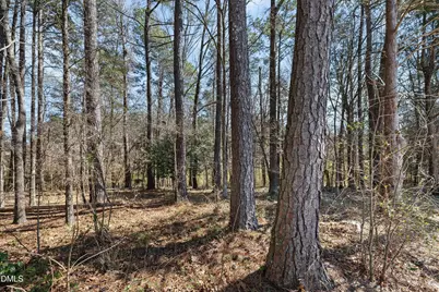 337 Simwood Avenue, Wake Forest, NC 27587 - Photo 29