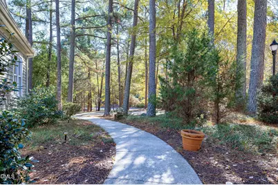 81008 Alexander, Chapel Hill, NC 27517 - Photo 47