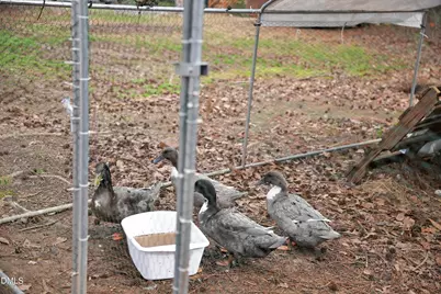 420 Pennyroyal Lane, Garner, NC 27529 - Photo 47