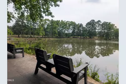 1007 Tender Drive, Apex, NC 27502 - Photo 47
