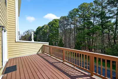 1007 Tender Drive, Apex, NC 27502 - Photo 23