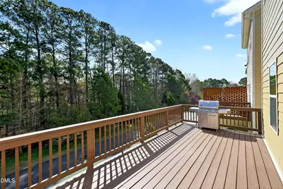 1007 Tender Drive, Apex, NC 27502 - Photo 15