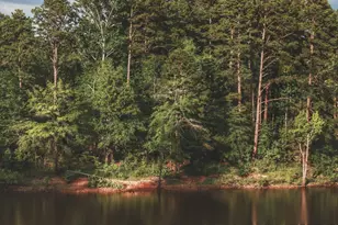 3190 Calley Dr, Bullock, NC 27507 - Photo 39