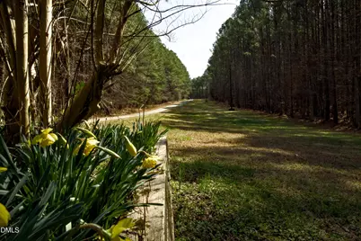 7023 Southern Trail, Chapel Hill, NC 27516 - Photo 3