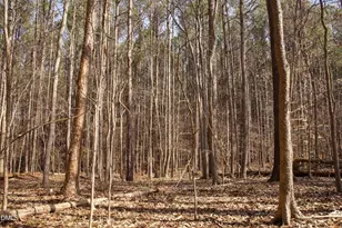 7023 Southern Trail, Chapel Hill, NC 27516 - Photo 1