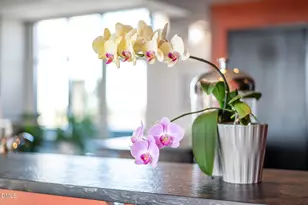 140 W Franklin St, Chapel Hill, NC 27516 - Photo 31