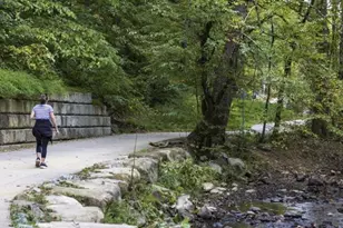 400 E Winmore Ave, Chapel Hill, NC 27516 - Photo 49