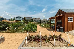 156 Serenity Hill Cir, Chapel Hill, NC 27516 - Photo 71