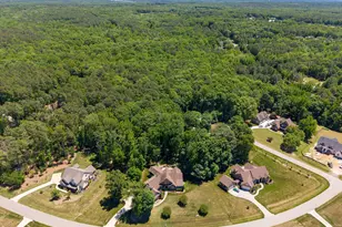 1106 Dovefield Ln, Youngsville, NC 27596 - Photo 63