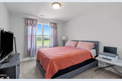 542 C P Stewart Road, Lillington, NC 27546 - Photo 19