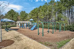 117 Morris Branch Ct, Cary, NC 27519 - Photo 95