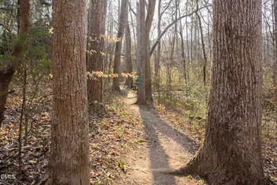 105 Millingport Court, Chapel Hill, NC 27517 - Photo 57