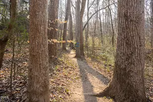 105 Millingport Ct, Chapel Hill, NC 27517 - Photo 57