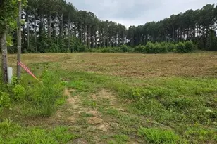 Lot 51 Roseheath Ct, Bailey, NC 27807 - Photo 1